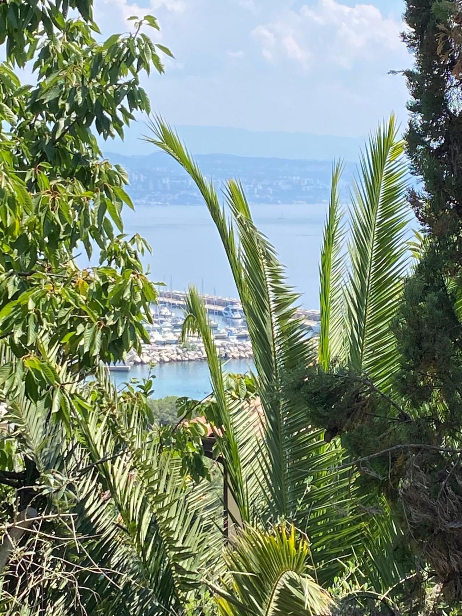 Villa Salyna Ičići Exteriér fotografie
