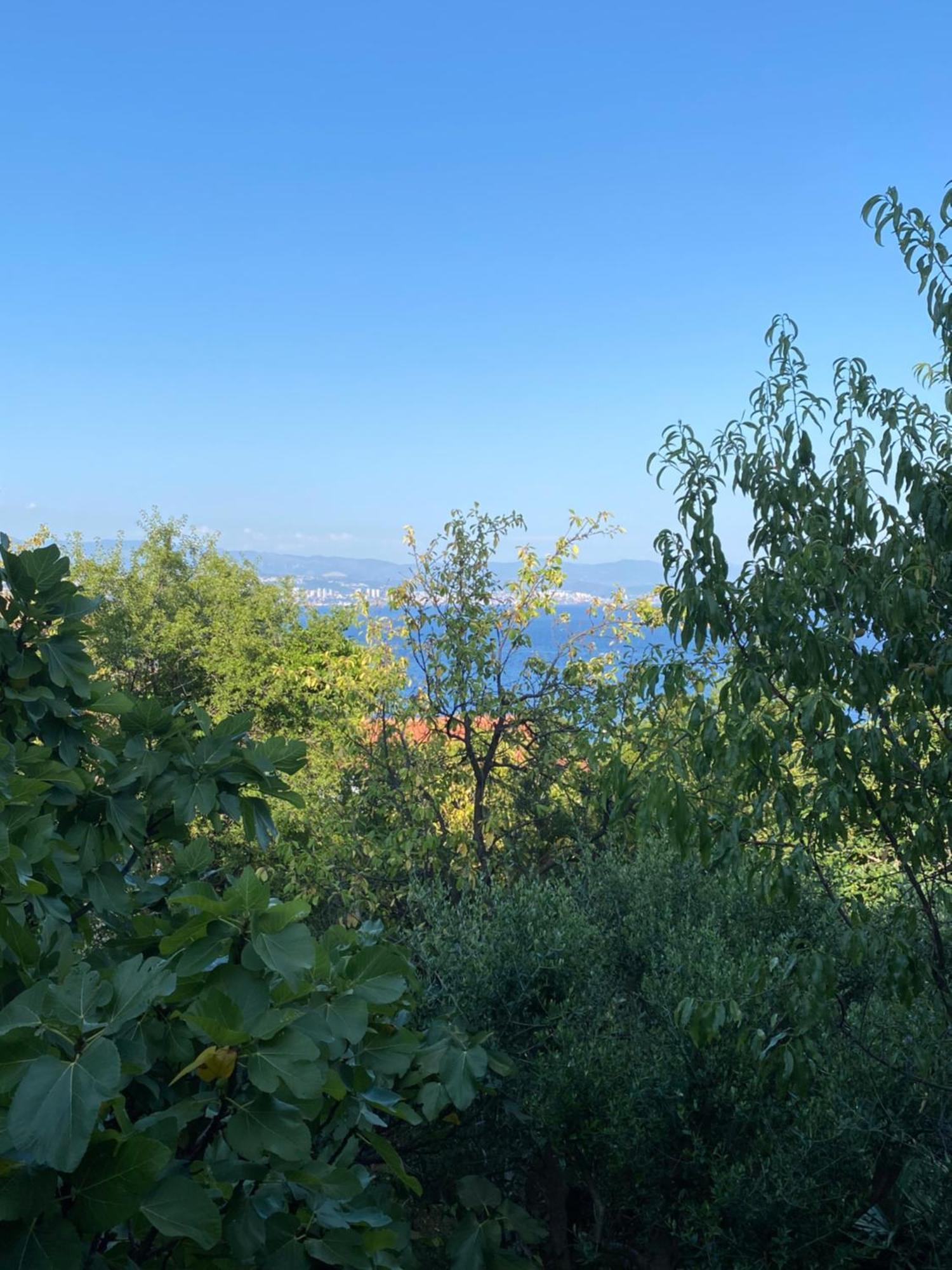 Villa Salyna Ičići Exteriér fotografie