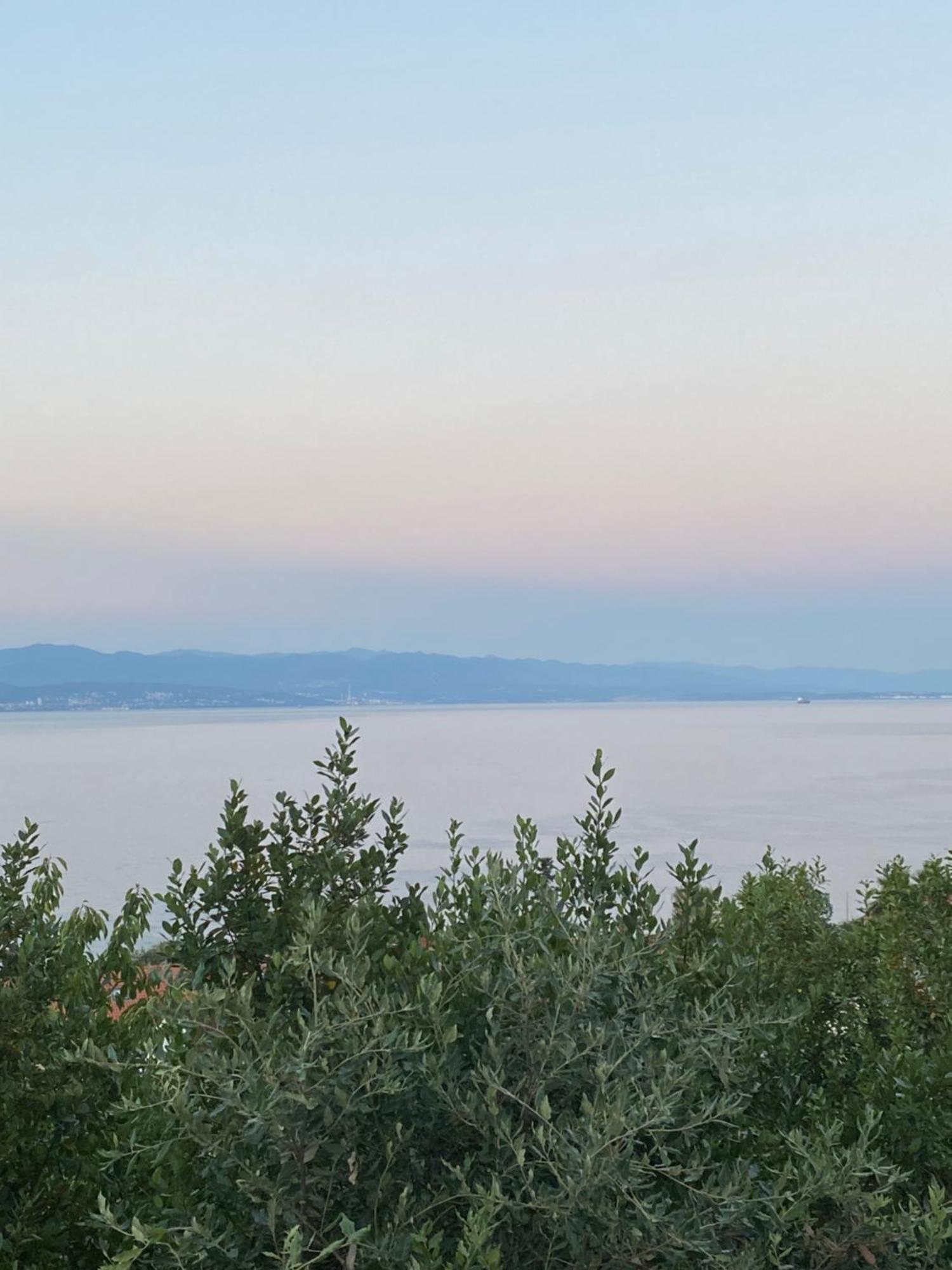 Villa Salyna Ičići Exteriér fotografie